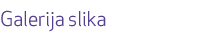 Galerija slika