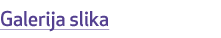 Galerija slika